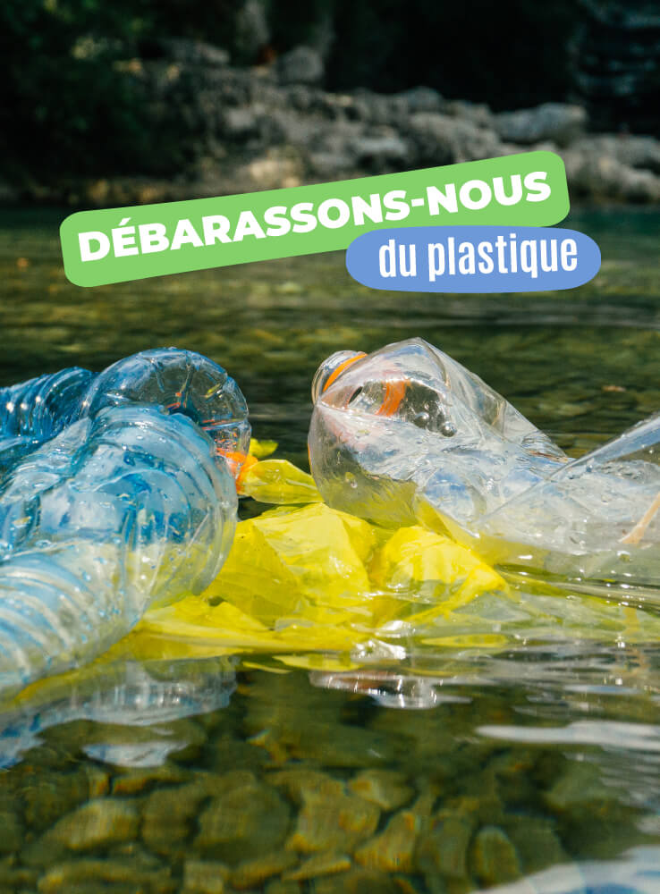 miniatura-actículo-1